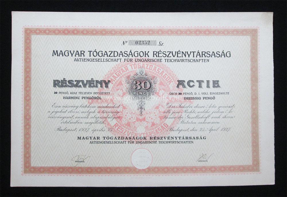 Magyar Tgazdasgok rszvny 30 peng 1927